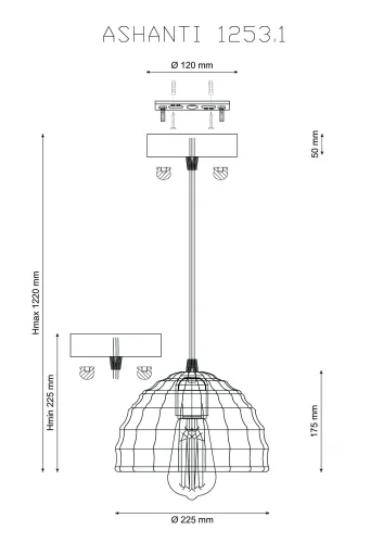 Светильник подвесной лофт ASHANTI 1253.1 Lucia Tucci прозрачный 1 лампа, основание чёрное в стиле лофт  фото 3